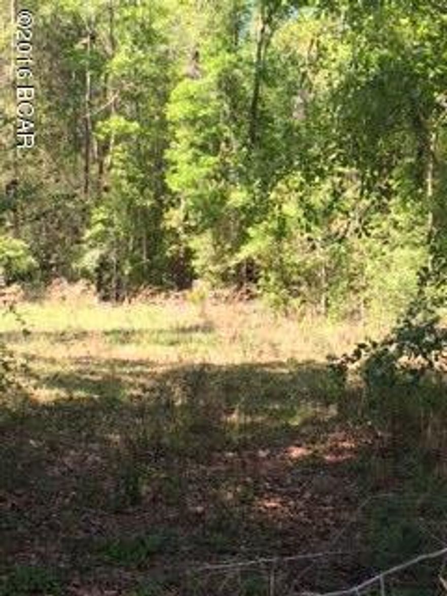 Build your dream home or put a mobile home on this beautiful 19 acre property. Located not far from Chipley or Vernon. This piece is mostly wooded. Make your appt to see it, today!!!