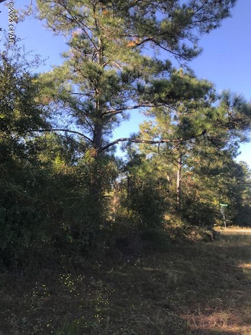 Corner wooded building lot. Adjoining ACRE for sale.  Frontage on two roads.  1 hour drive MOL to Panama City to Beaches.  Minutes drive to Compass Lake for boating & fishing.  Join the CLH's association  to have access to McCormick Lake an all natural no gas engine lake.  Great place to bring the kids & guests to swim and picnic.