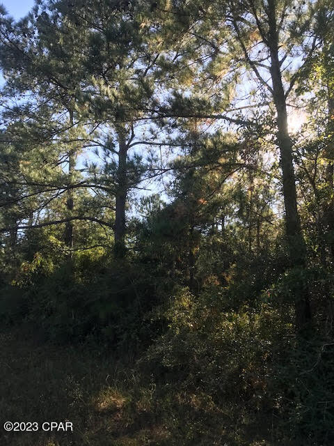 Compass Lake Hills Unit 4 - Land