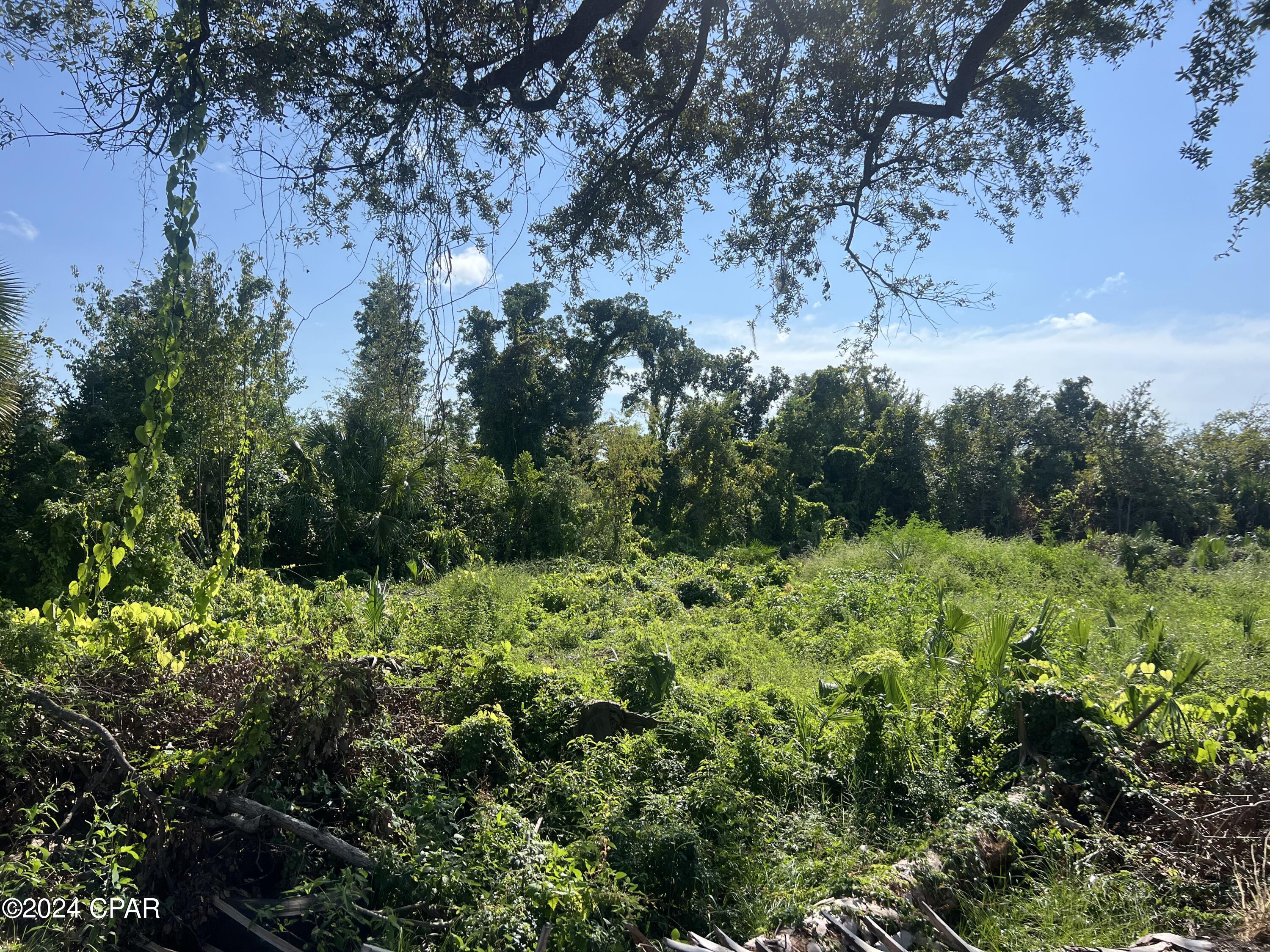 Thousand Oaks - Land