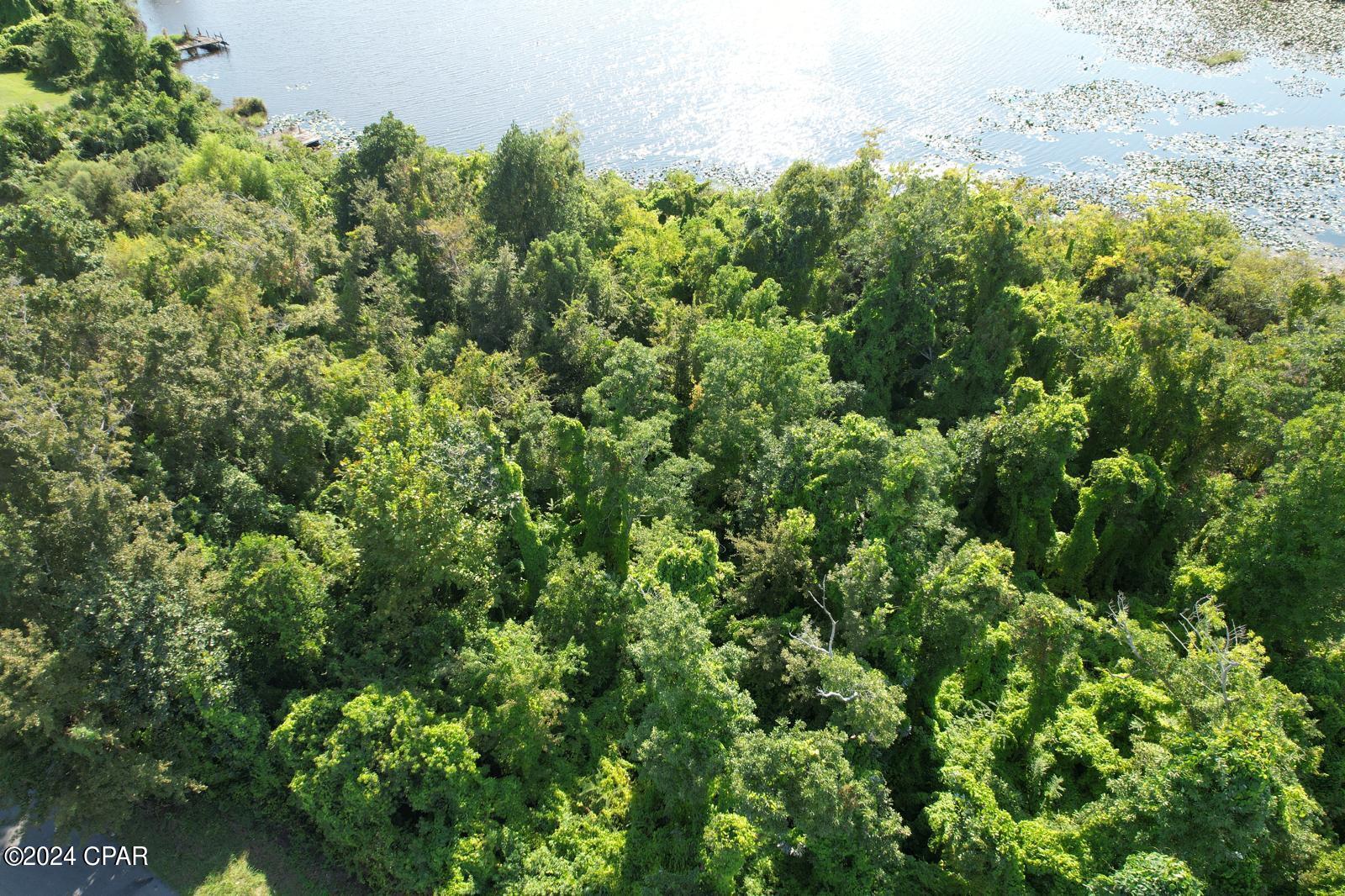 Thousand Oaks - Land