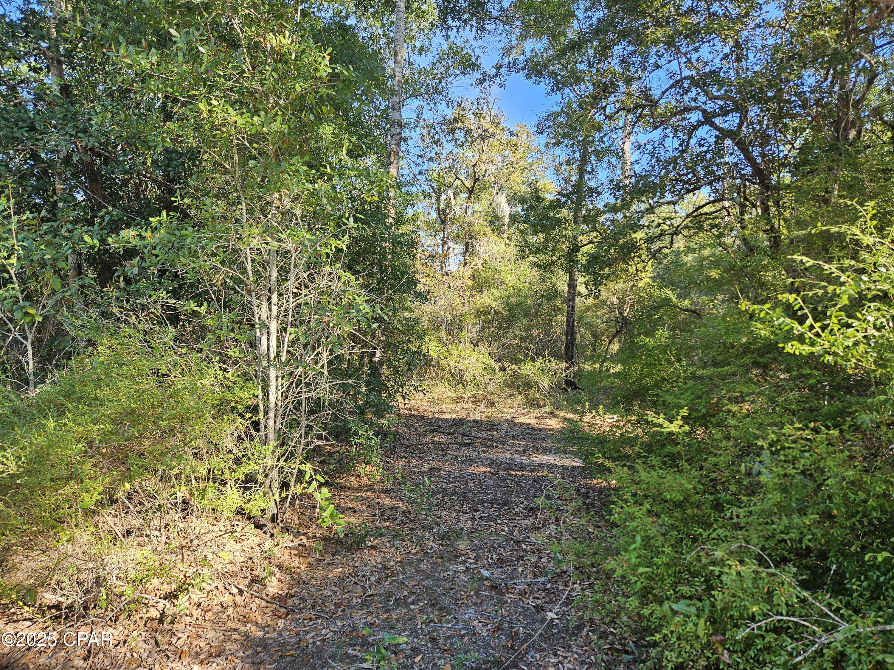 Leisure Lakes - Land