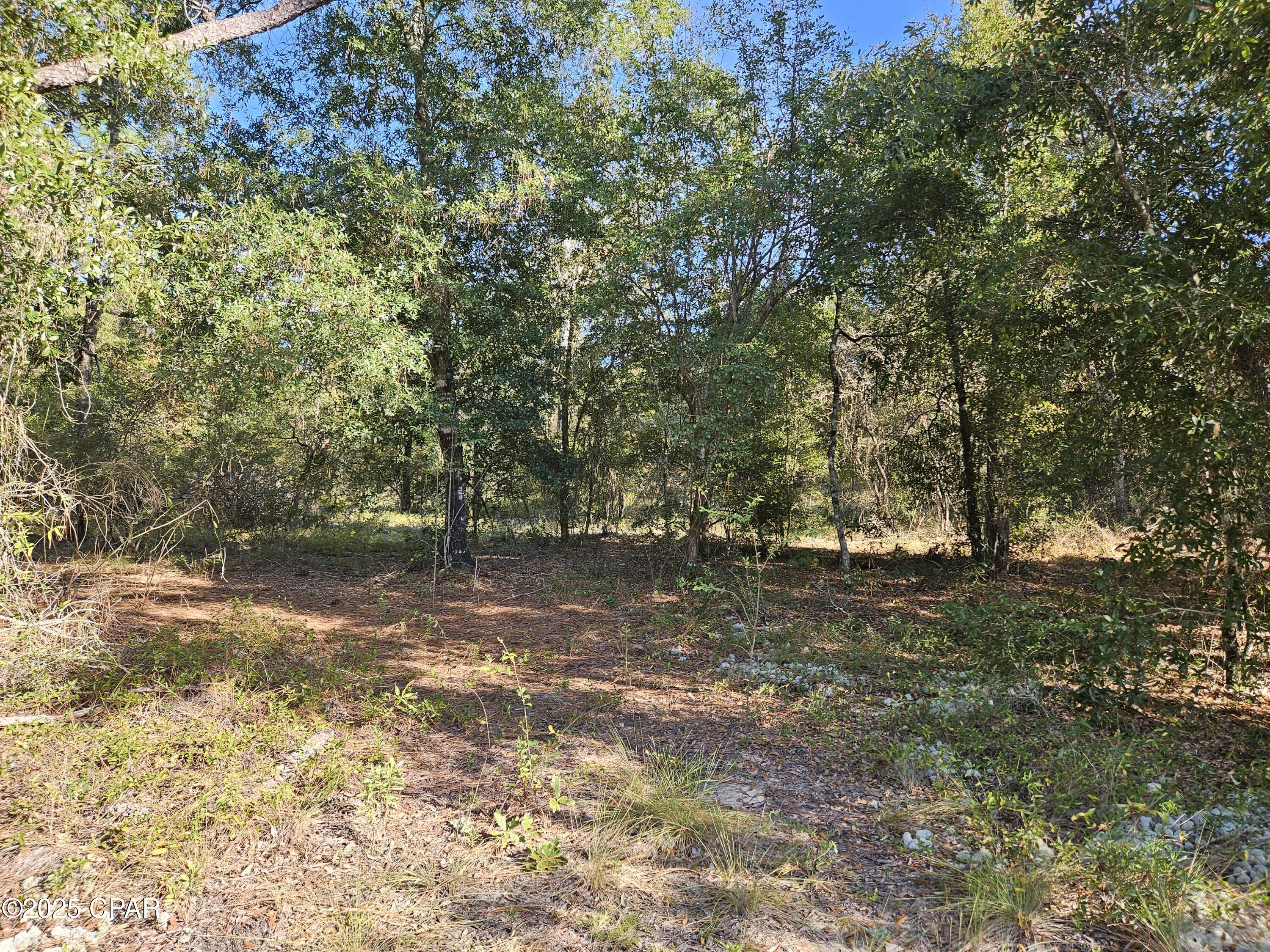 Leisure Lakes - Land