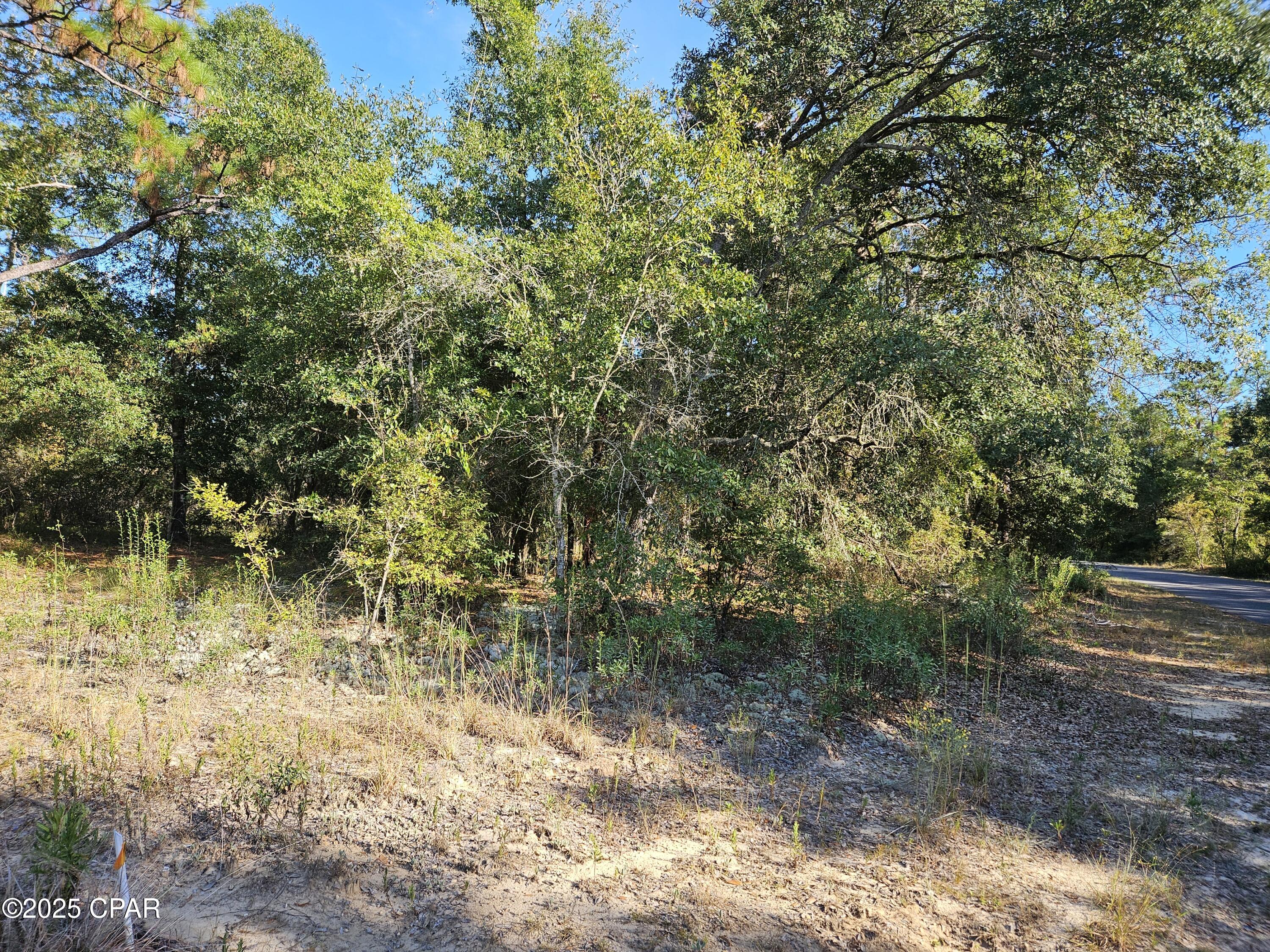 Leisure Lakes - Land