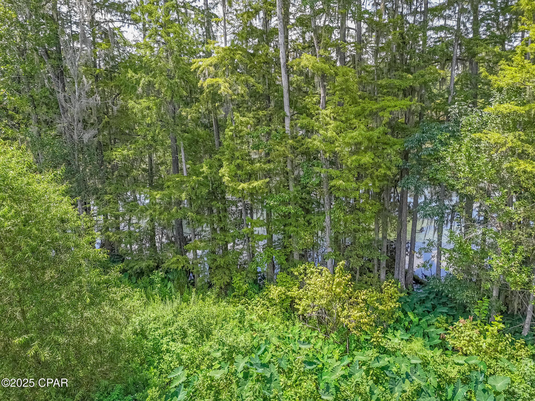 Indian Springs - Land