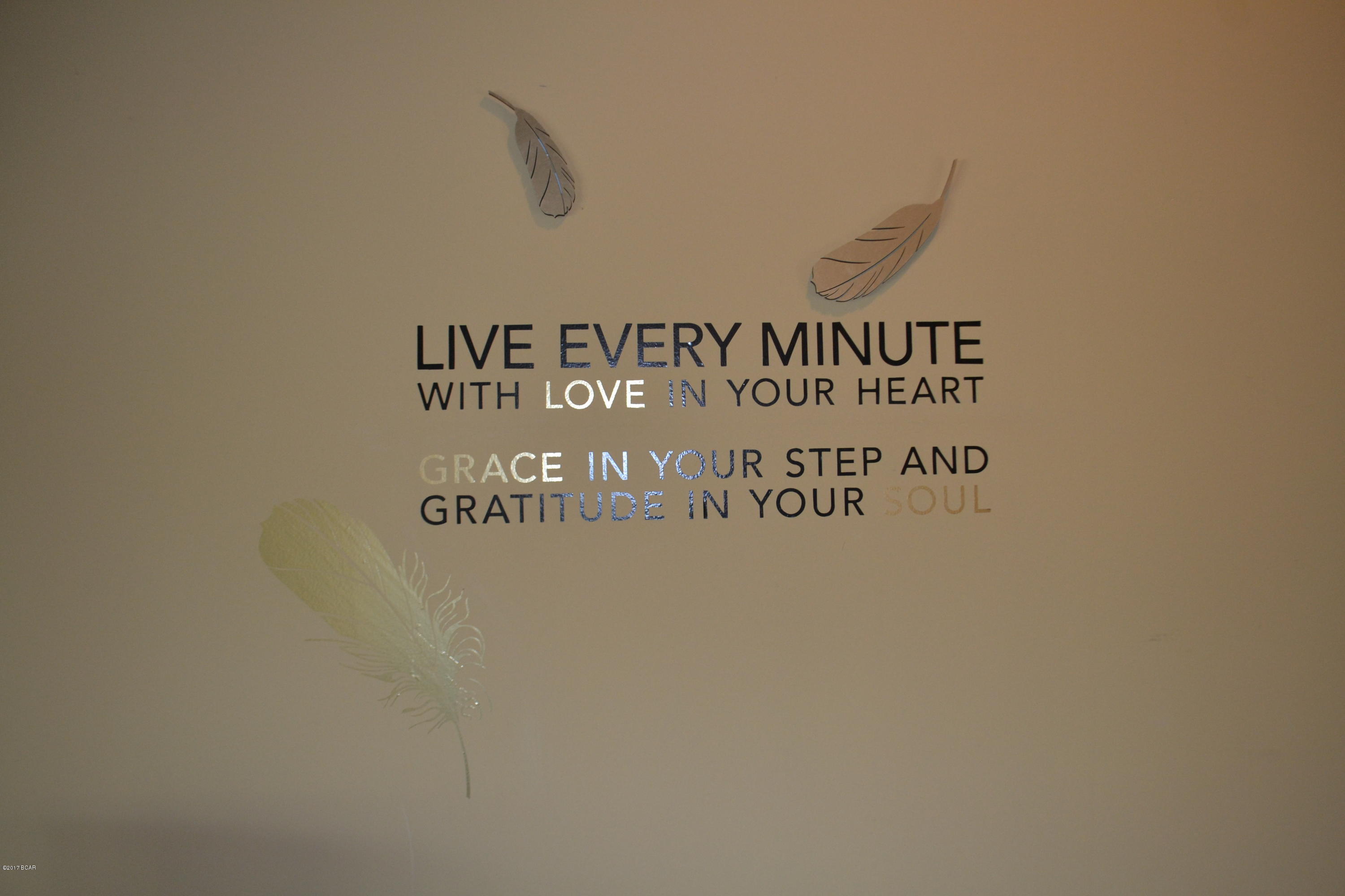 Tierra Verde - Residential