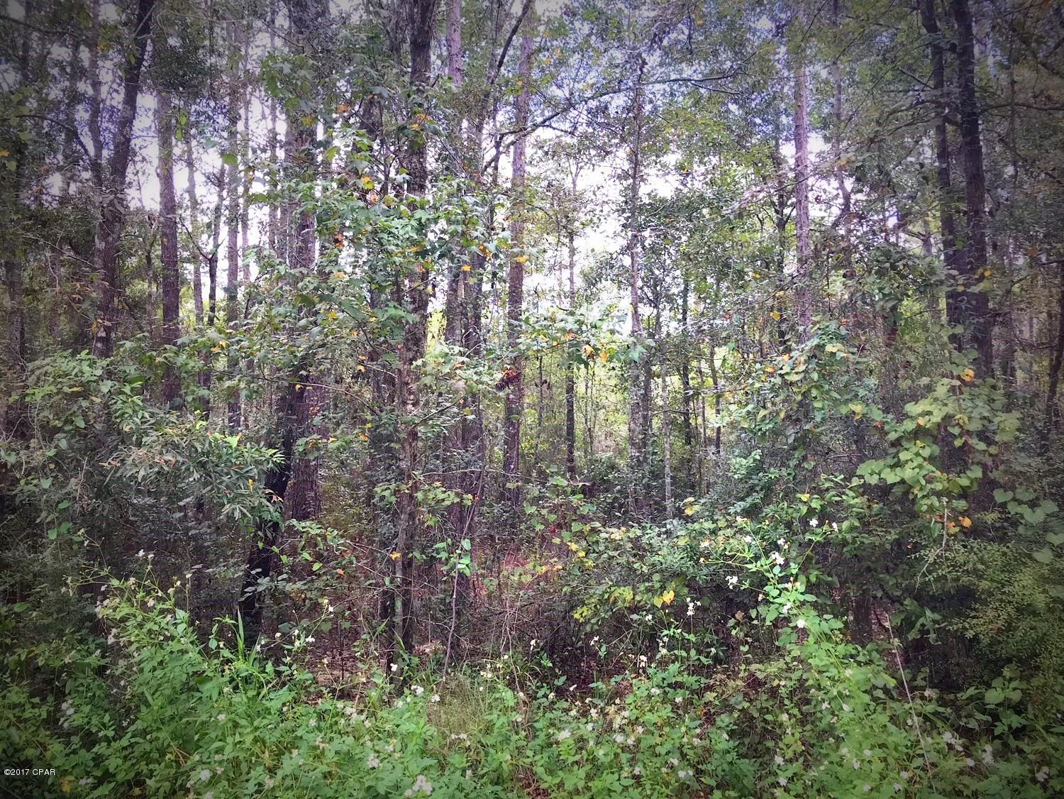 No Named Subdivision - Land