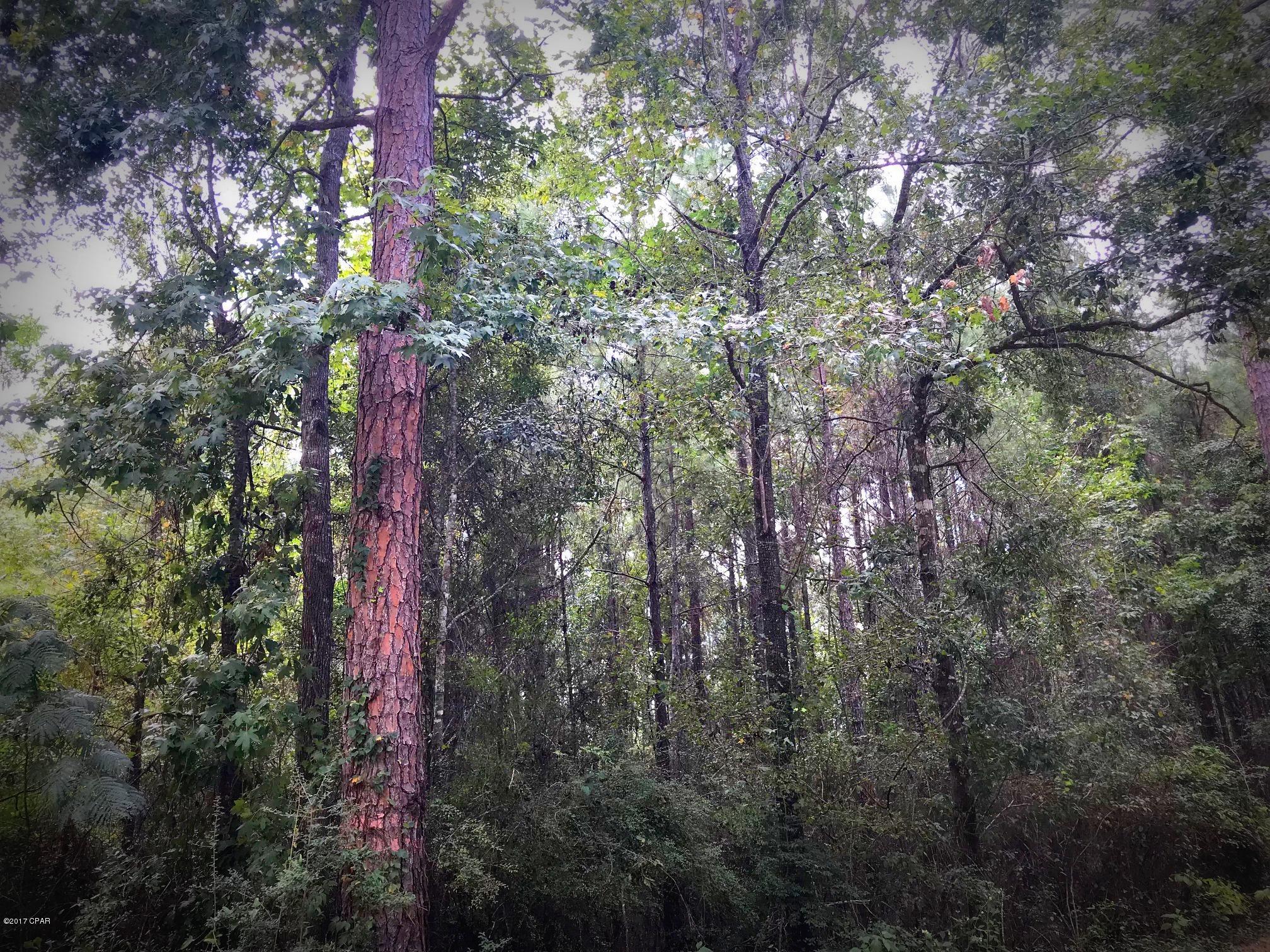 No Named Subdivision - Land