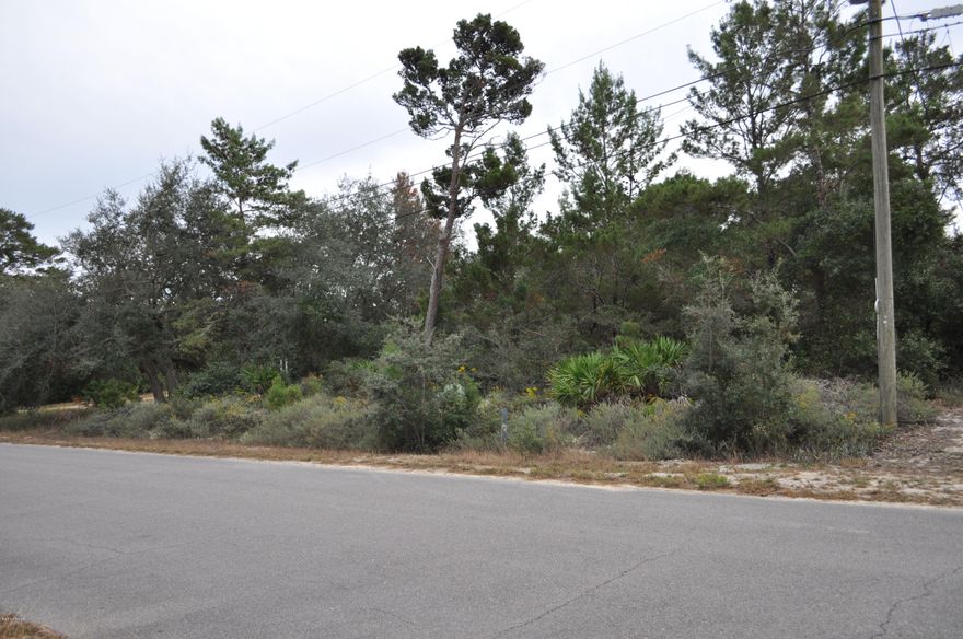 Great lot close to Lake Powell and Public Boat Ramp, not in flood zone! On a Quiet Dead End street. Great building site with many luxury homes around. Mobile homes allowed too. Power to site, public water, needs a septic.