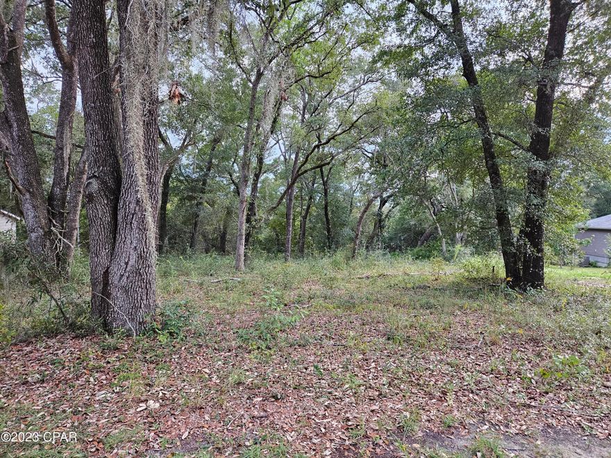 This waterfront lot in the security gated subdivision of Leisure Lakes would be a wonderful place for your new home. The lake is on the east side of the lake which makes it an ideal location to watch the sunset across the water. The lot is untouched and has many large live oak trees, some with hanging moss. The lot has a few springs near the water's edge that is a source of fresh clear water for the lake. The amenities include a boat launch on this lake as well as the larger lake in the subdivision. It offers a swimming pool in the common area, along with a tennis court, basketball court, weight room, full kitchen rental, picnic areas, and a toddler playground.