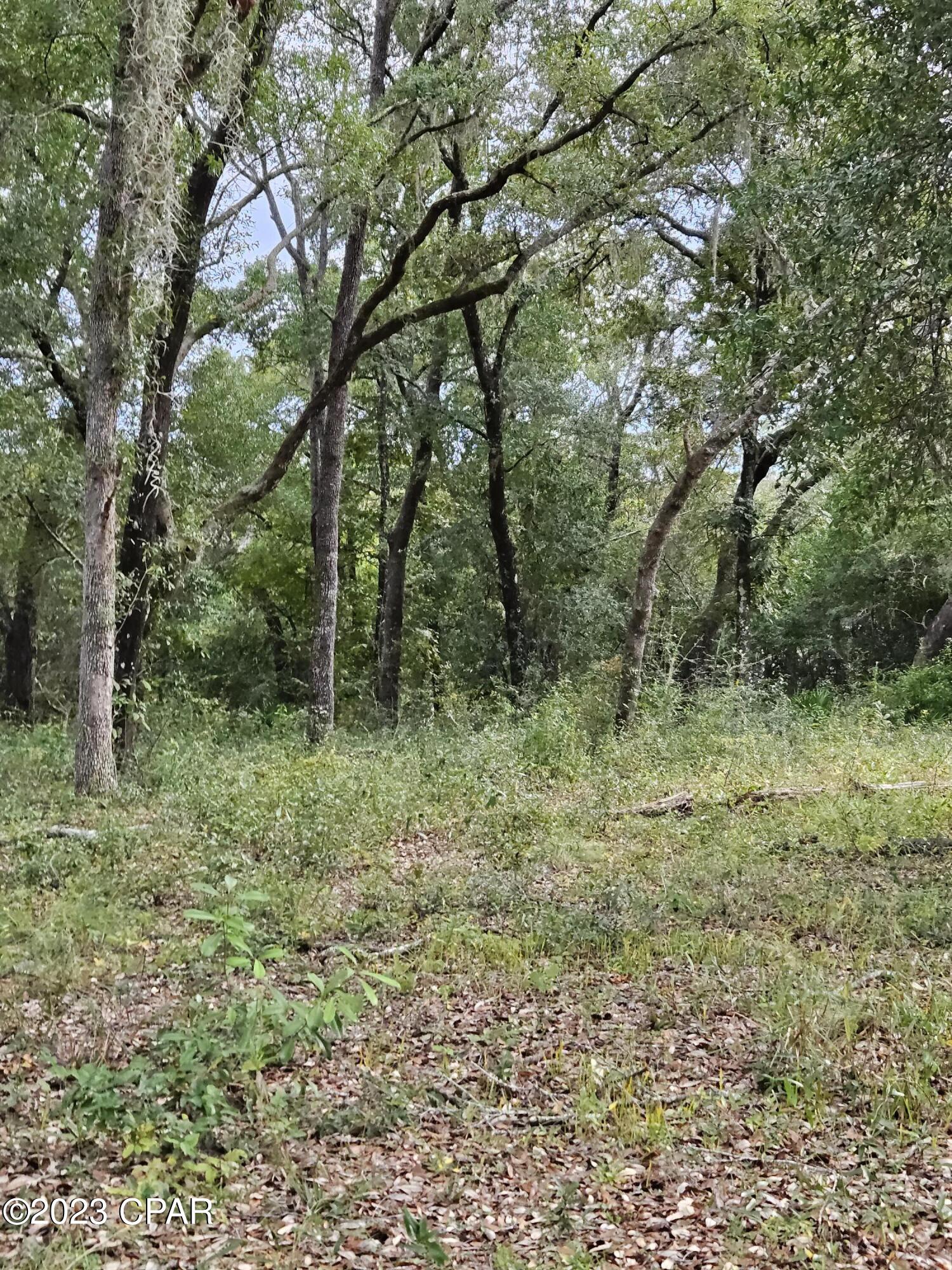 Leisure Lakes - Land