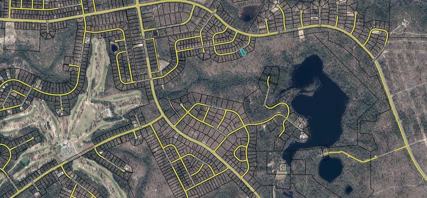 Nice sized building lot in Sunny Hills. This deed restricted community is located 25 miles north of Panama City for the big city entertainment and shopping, and 18 miles south of Chipley for the small town charm. Sunny Hills offers a popular 18 hole public golf course and many fine fishing lakes. Great opportunity to invest in the future of the Florida Panhandle. Buyer to pay Title Insurance, closing fee, and doc stamps on the deed.