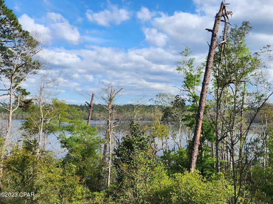 Looking for a getaway spot look no further.  Waterfront on PRIVATE AND BEAUTIFULLY CLEAR  McCormick Lake.  Part of the Compass Lake in the hills association with access to all the amenities.   Property has metal gate that leads to cleared drive entrance to access top half of property.  Old well and old electric pole located on middle grounds. Unsure of condition of well. Both broken from hurricane.  Further down property is old cabin damaged from falling trees. 

 Located in Compass Lake in the Hills with voluntary HOA dues, this lot is waterfront on McCormick Pond which allows electric motors, kayaks, canoes, paddle boats, ect, NO GAS POWERED MOTORS