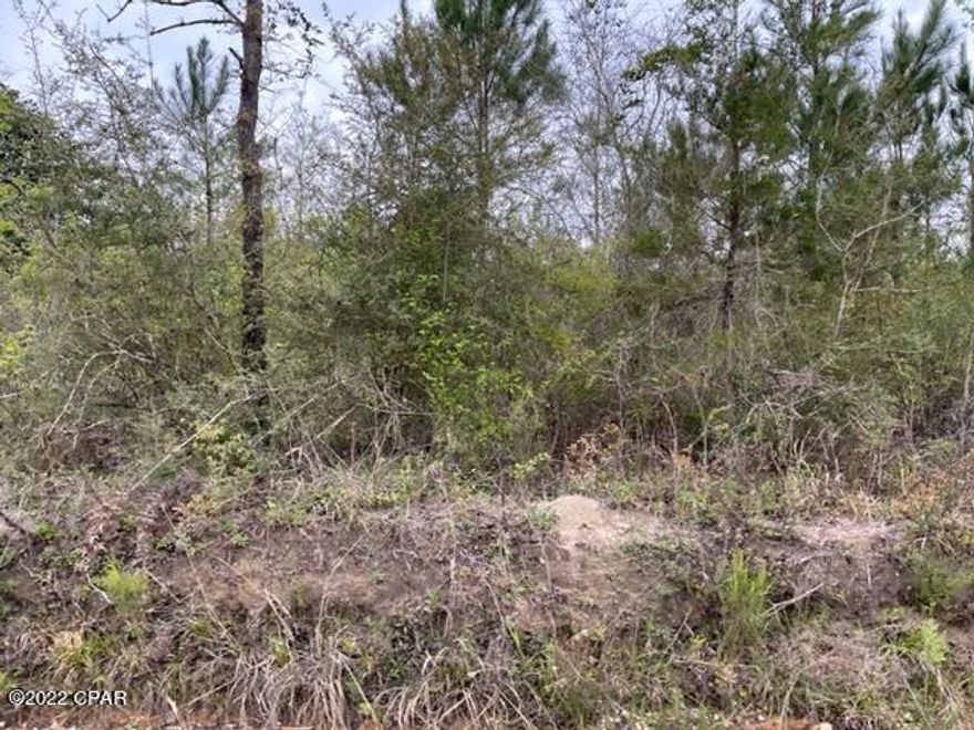 This is a 20 acre parcel of land with mixture of native trees.   It is in a rural area with lots of wildlife to enjoy.  A great place to build your home and have small acreage to utilize as a mini ranch.  A great place to get away to from the hustle and bustle of larger areas.  The road splits the acreage.