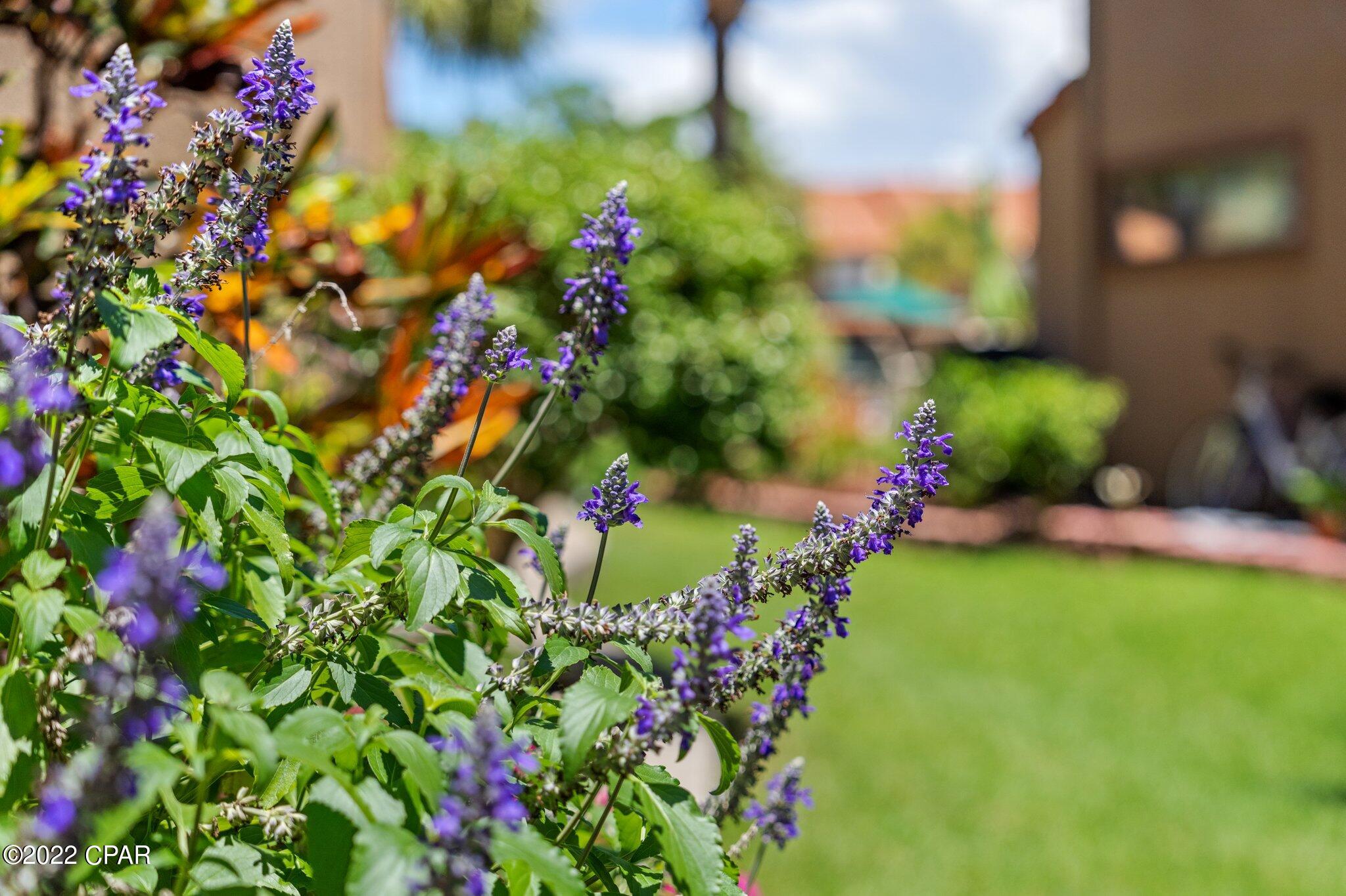 Gulf Highlands Beach Resort - Residential