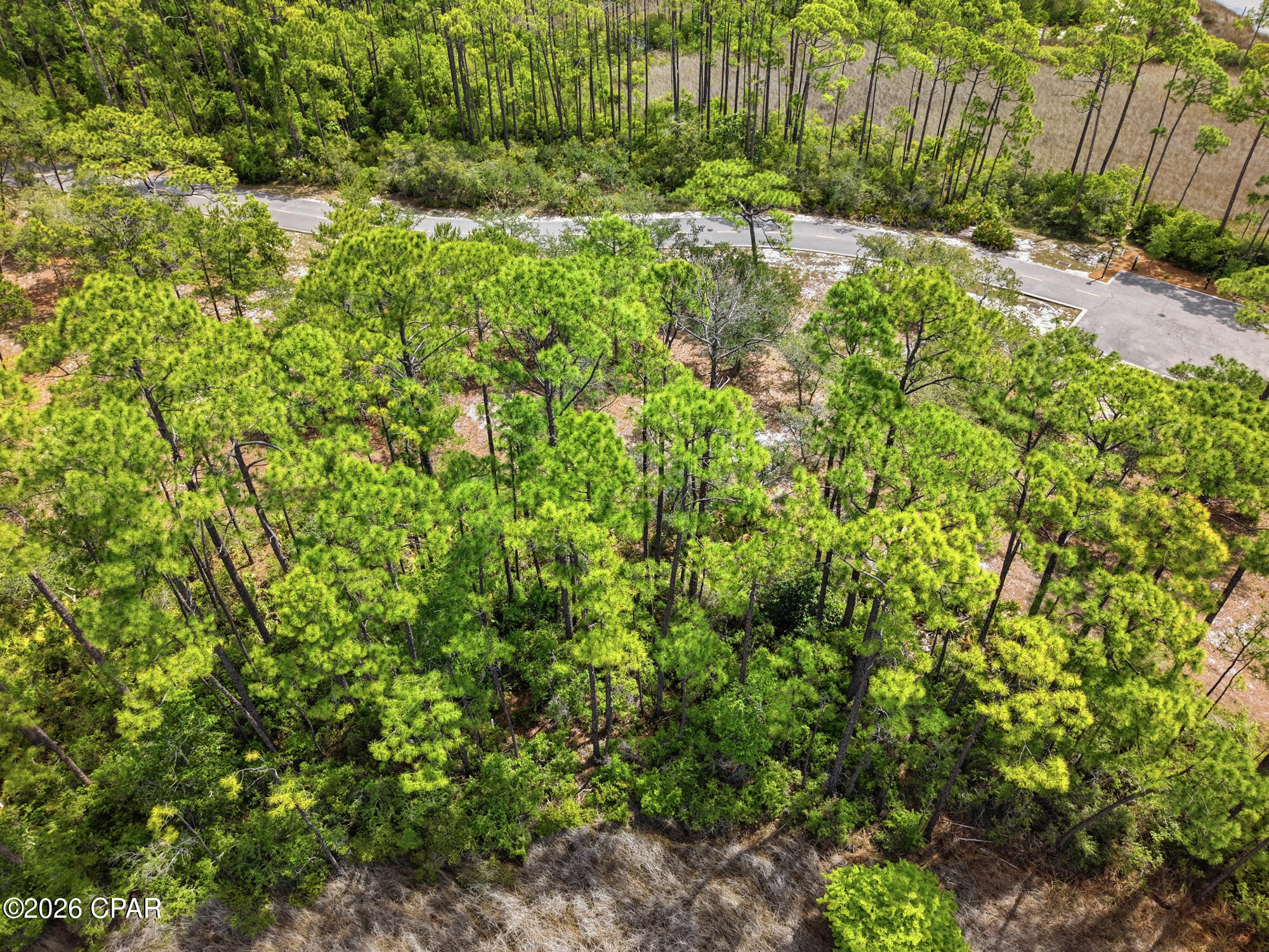 Wild Heron Phase II - Land