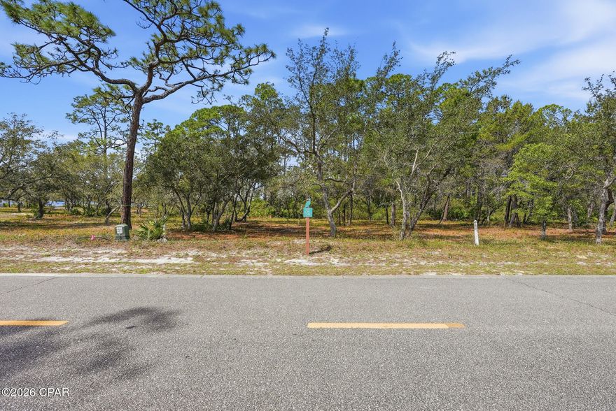 Set within the gated coastal community of Wild Heron, 1109 E Water Oak Bend offers an exceptional homesite where natural beauty and thoughtful planning come together to create a setting of quiet distinction. Positioned to capture views of Lake Powell, one of Florida's largest coastal dune lakes, the property invites a design that embraces both water and landscape.

A protected conservation area directly fronting the homesite preserves the integrity of the surroundings, offering a sense of openness and enduring natural beauty, while the rear of the property is framed by the lake, creating a backdrop that enhances both privacy and perspective. The result is a homesite where architecture can be thoughtfully oriented to maximize light, views, and connection to the environment. Wild Heron is known for its balance of tranquility and amenity-rich living. Residents enjoy access to a community dock, lakeside pool, fitness center, and direct lake access, creating opportunities for both recreation and relaxation. For those seeking an elevated coastal lifestyle, the option to join the WaterSound Club extends the experience further, offering access to tennis, private beach amenities, and the Greg Norman-designed Shark's Tooth Golf Club, an 18-hole championship course set along the edge of Lake Powell.

With its combination of preserved natural surroundings, water views, and access to thoughtfully curated amenities, 1109 E Water Oak Bend presents a compelling opportunity to design and build a home that reflects both personal vision and the enduring character of Wild Heron.