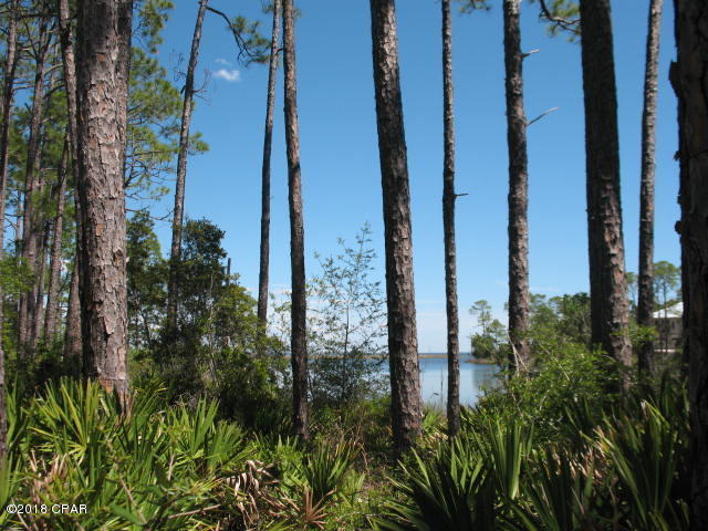 Rivercamps On Crooked Creek Ph 2 - Land