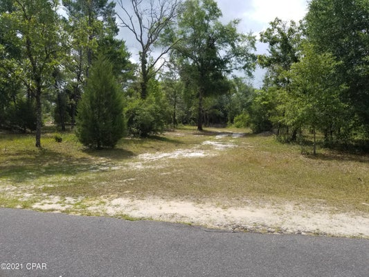 4390 LEISURE LAKES DR, CHIPLEY, FL 32428 - Image 2ea7dff1359fb54da138e7a545f5f4d3/74199885