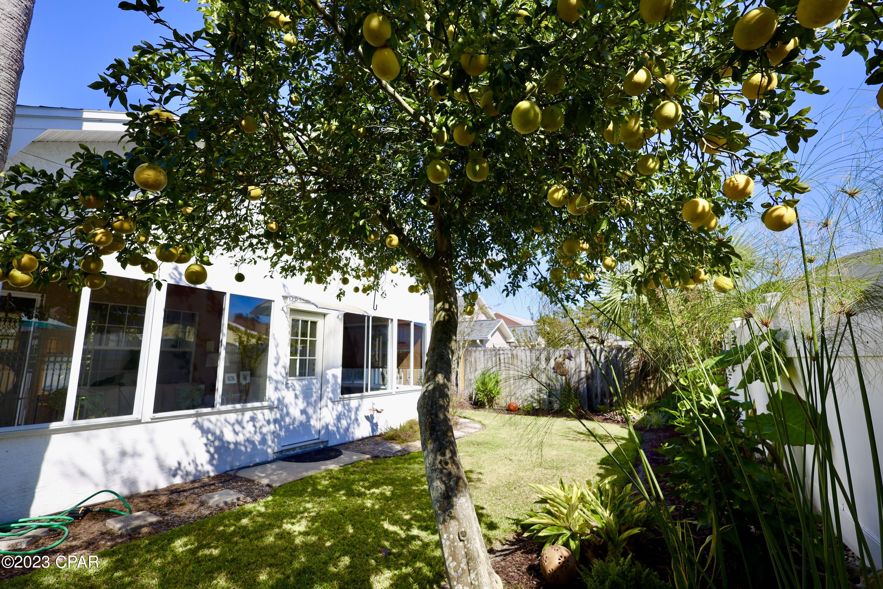 Seaclusion Beach - Residential