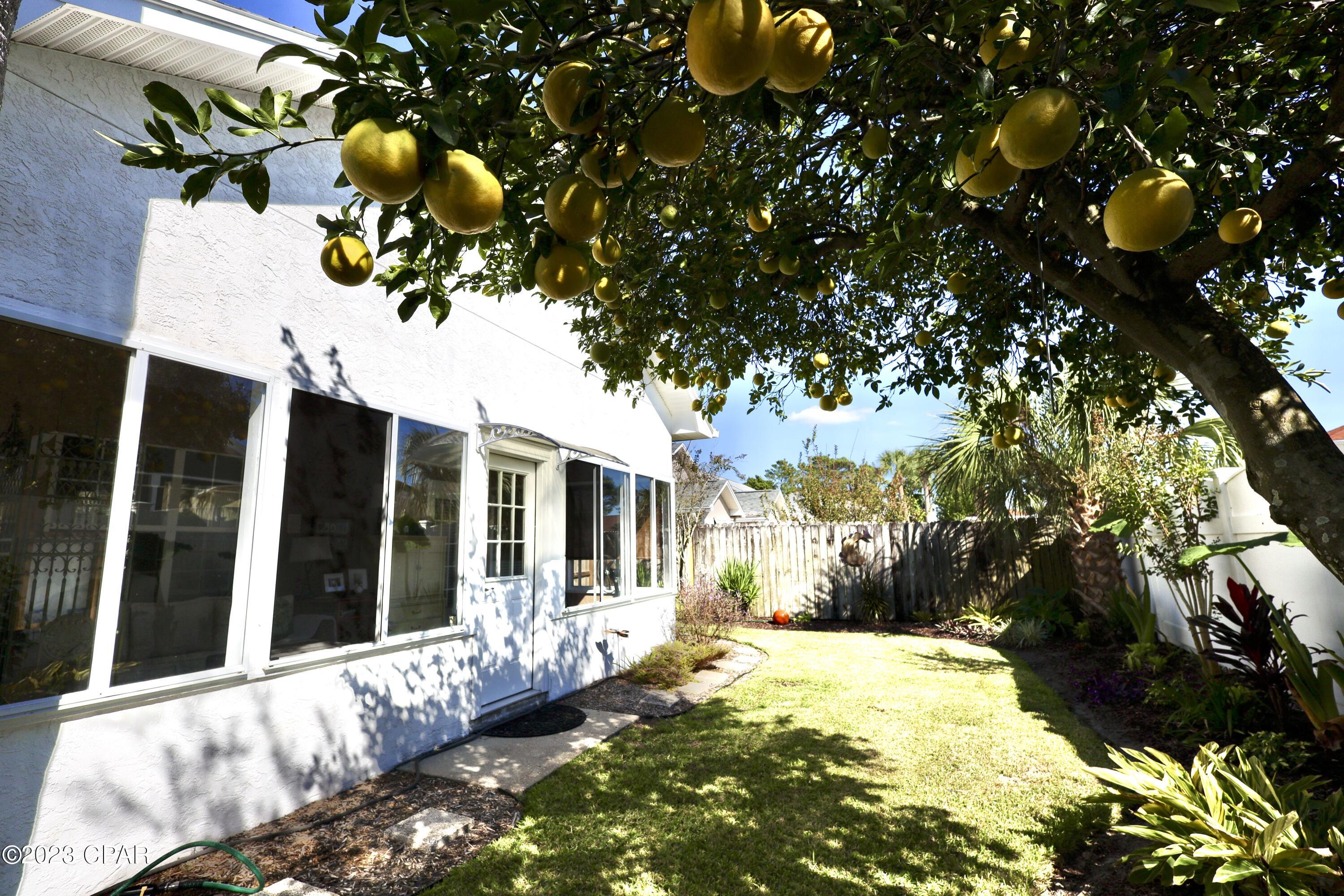 Seaclusion Beach - Residential