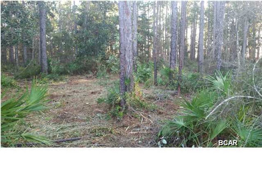 Lot 110 is the lowest priced home site in the community!!! Priced just reduced! Not a short sale! Investors, Builders and Home Owners take notice. Unbelievable Opportunity to build your dream home in Laird Point! This gated, waterfront community offers the perfect blend of privacy and proximity. All just minutes from Tyndall AFB, restaurants, and shopping. We have local builders and lenders that are very familiar with Laird Point and are ready to help. Laird Point offers City Water/Sewer and Underground utilities. Please call if you would like to schedule a personal tour of this property and Laird Point. Local bank now offering up to 90% financing on lot loans.
