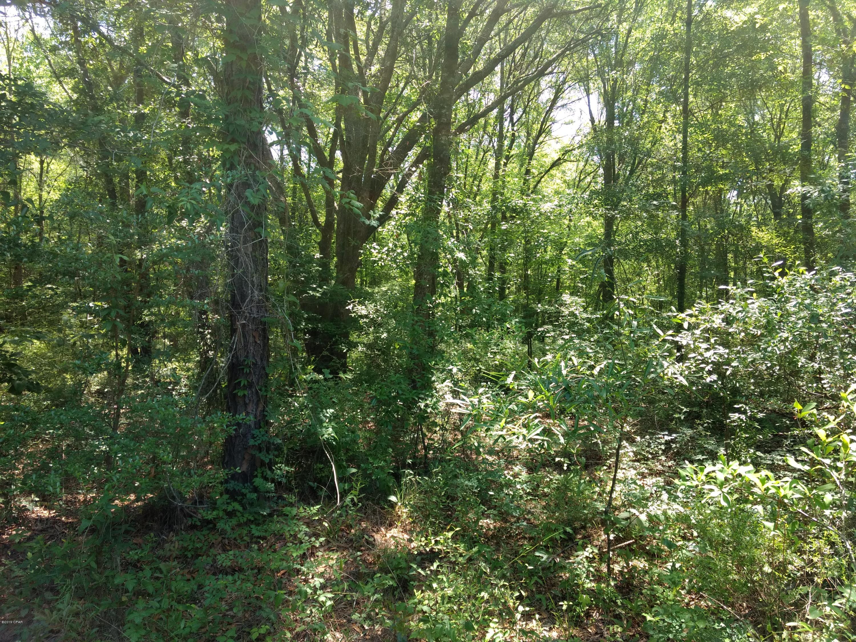 Caryville Campsites - Land