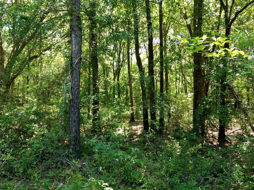 Nice wooded lot in the Caryville Camp Sites. Would make a great get a way place, not far from the boat landing.