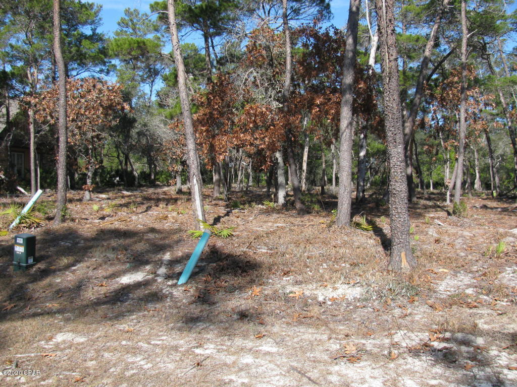 Wild Heron Phase II - Land