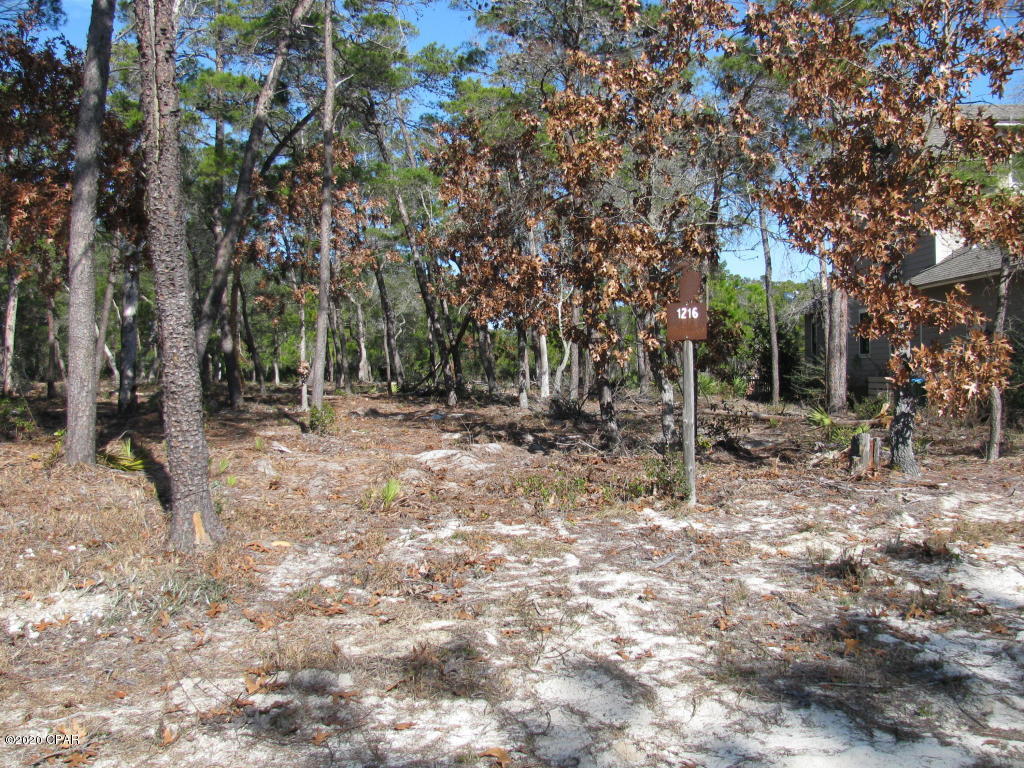 Wild Heron Phase II - Land