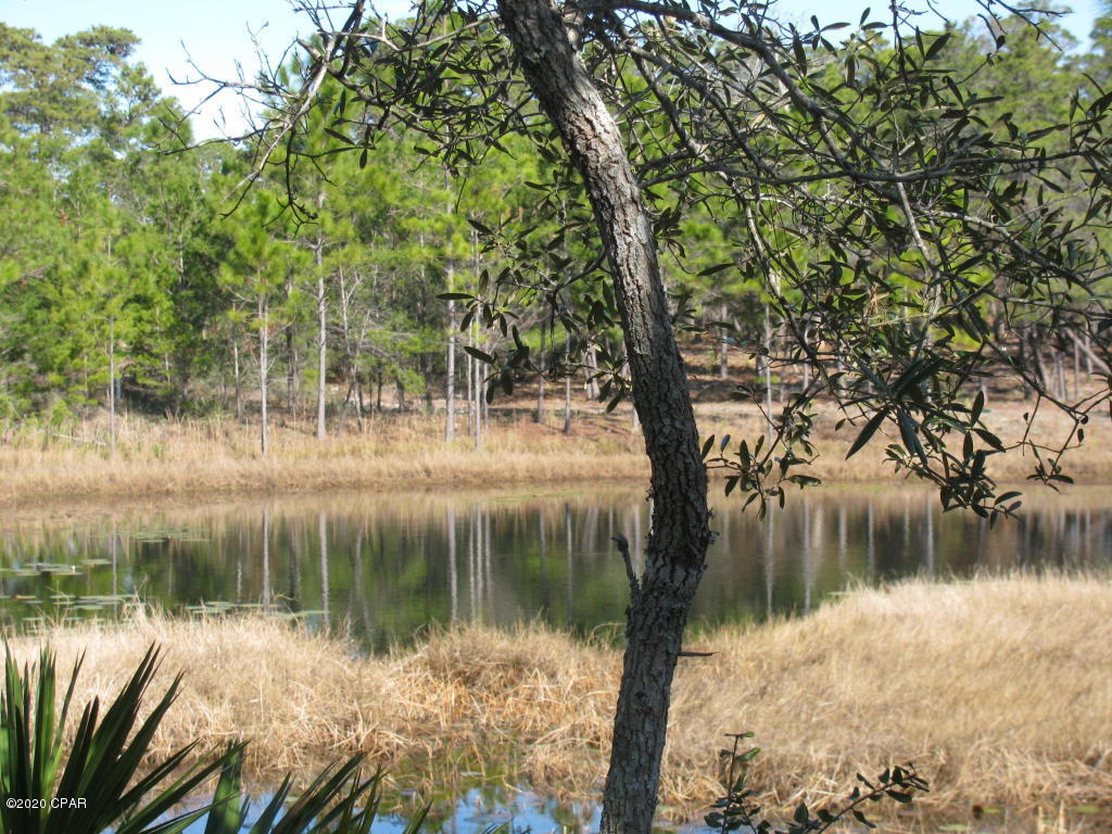 Wild Heron Phase II - Land