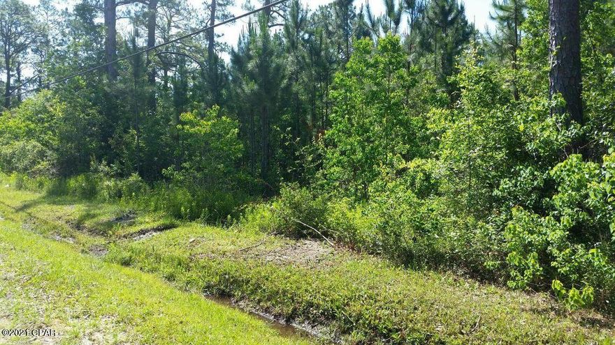 Very desirable residential lot just waiting for your new home or investment. Great location just over the bridge in Southport and the lot the right is available for sale.