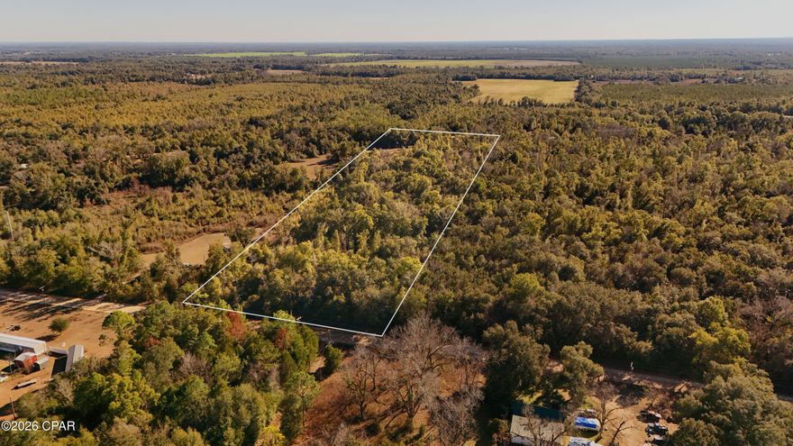 Beautiful wooded and best priced 10.02 Acre lot currently available on the market!! Flat and totally dry!! Zoned AG2 (1 house per acre max) No HOA No Restrictions!!! With beautiful surroundings and fast paced growing development!! Use it as a homesite or invest in an amazing growing area in Greenwood, Jackson County Florida!! Electric poles already in Place just need to connect it !! Super close to Greenwood, Alford and Marianna!! Gorgeous white canvas with endless possibilities! Great Location! Act fast this one is not going to last!! Drone Videos Available as well