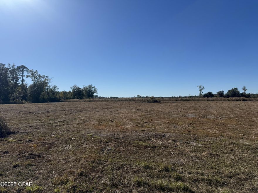 Nearly 3 acres just 2 miles south of Wewahitchka with many possibilities. City water is adjacent to the property and other parcels are available as well. A rare opportunity to have substantial acreage at a great price near the city. Lot is approved but not officially platted. Some photos are of the entire parent tract for reference only. Main photo is of the lot location. please see highlighted approved plat for dimensions.