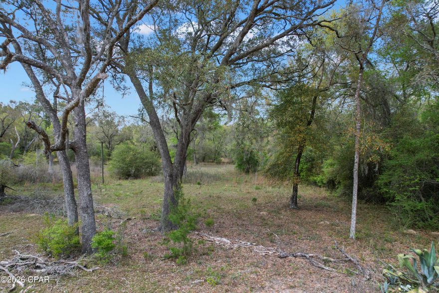 Discover the perfect opportunity to build your dream home on 4006 Wood Duck Trail in Chipley, FL. This vacant parcel offers a peaceful setting with plenty of space to create exactly what you want whether it's a primary residence, weekend getaway, or investment property.

Enjoy the privacy and quiet of country living while still being within a short drive to town for shopping, dining, and everyday conveniences. With room for a home, workshop, and outdoor living space, the possibilities here are wide open.

No HOA gives you the freedom to build and use the property to fit your vision. Bring your builder, your plans, and start turning your ideas into reality.

If you've been looking for an affordable piece of land with flexibility and potential, this is one worth checking out.