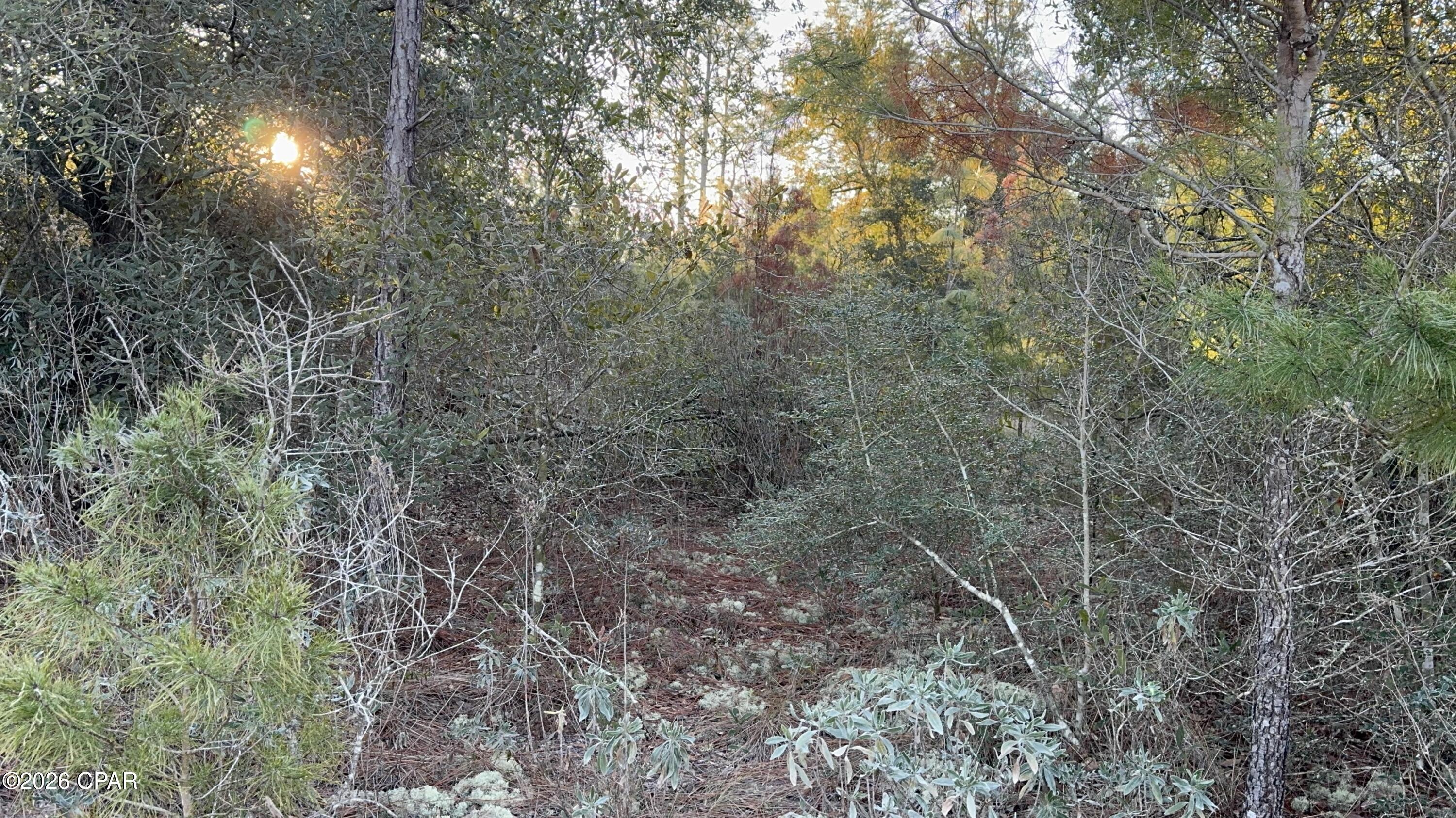 Sunny Hills Unit 2 - Land