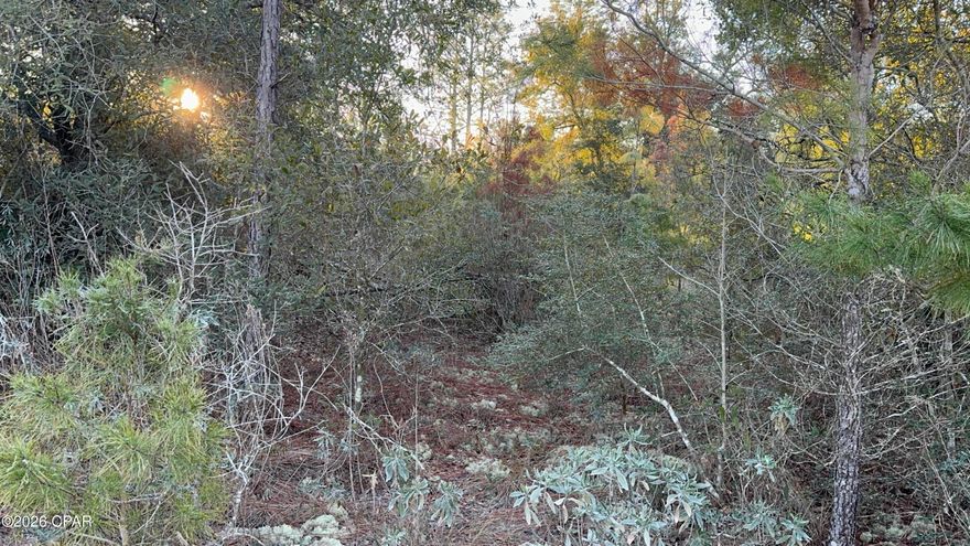 Welcome to Shenandoah Blvd in Sunny Hills, Unit 2, Lot 3! This stunning lot (can be lot 3 and 4 to be a double lot!!) is surrounded by beautiful foliage, offering a serene, private retreat. Just minutes from the sparkling Boat Lake, this is the perfect canvas for your dream home or weekend getaway. Don't miss out—this rare opportunity won't last long!