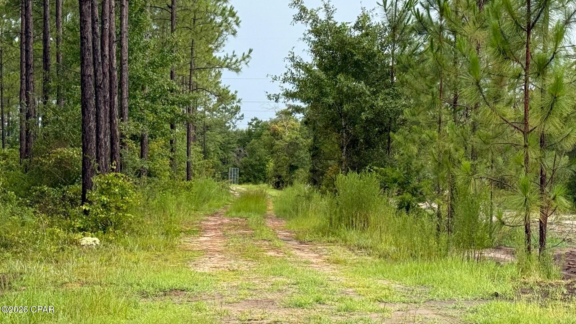 00 Foster Road