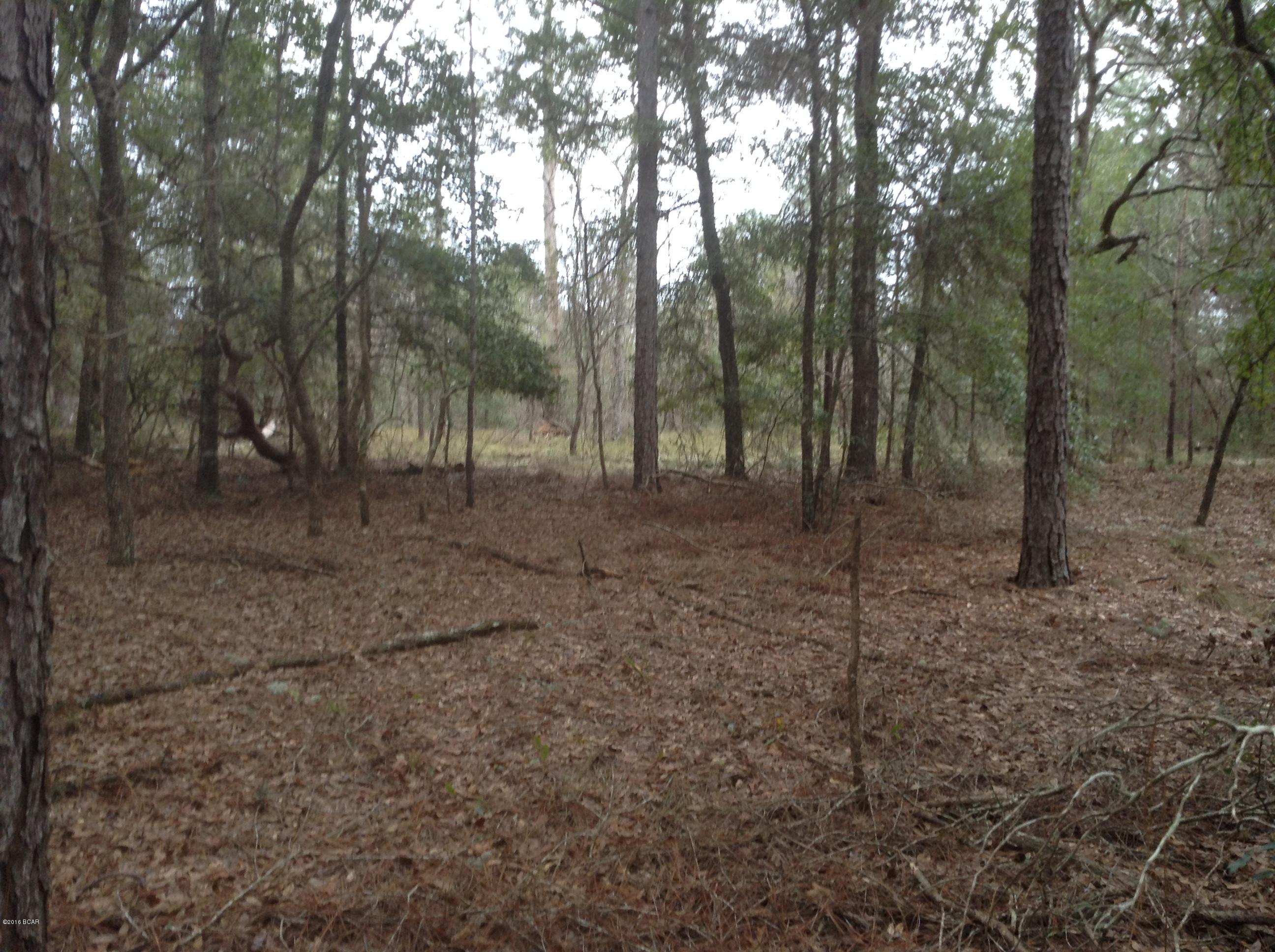 Leisure Lakes - Land