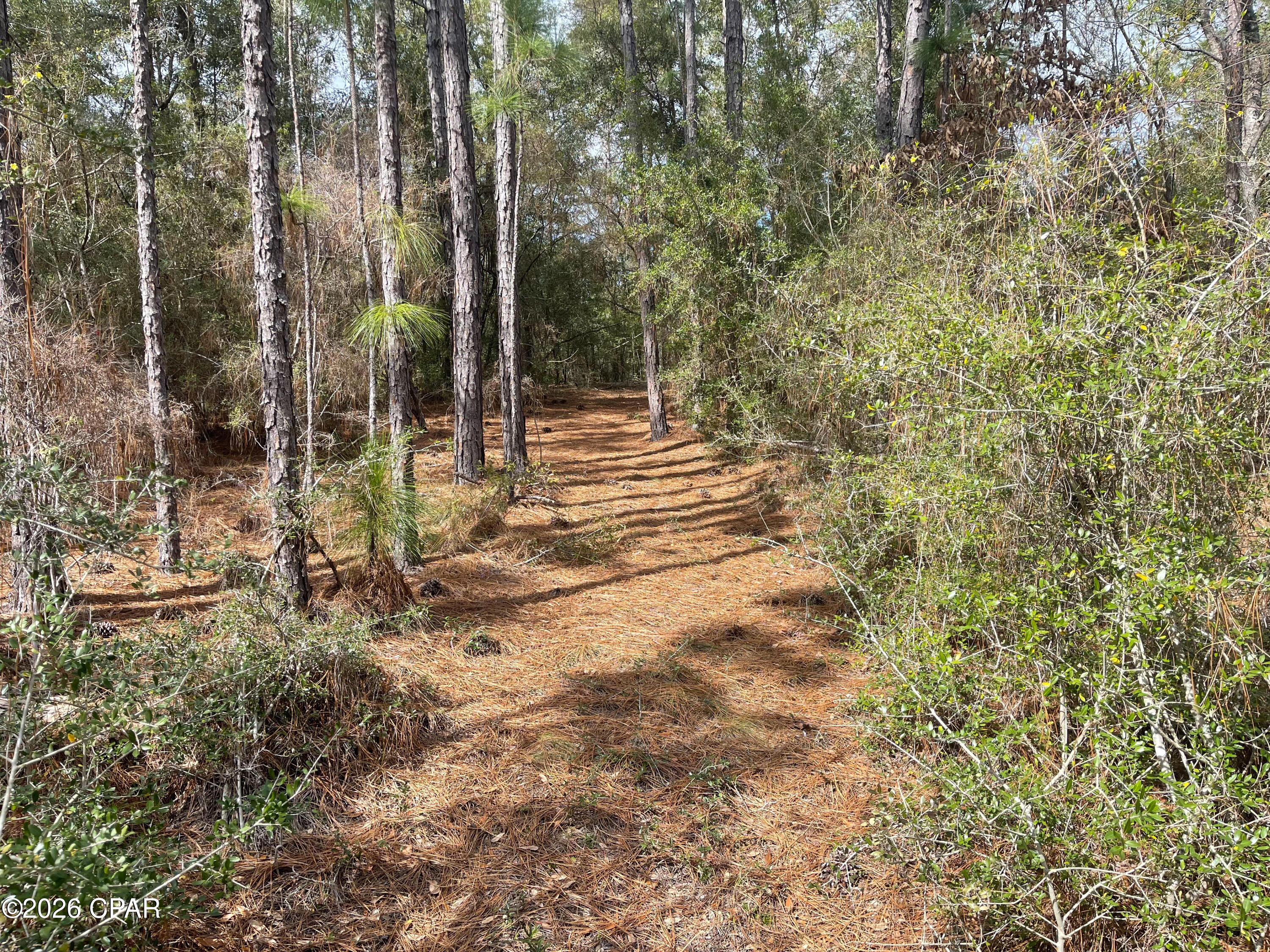 No Named Subdivision - Land