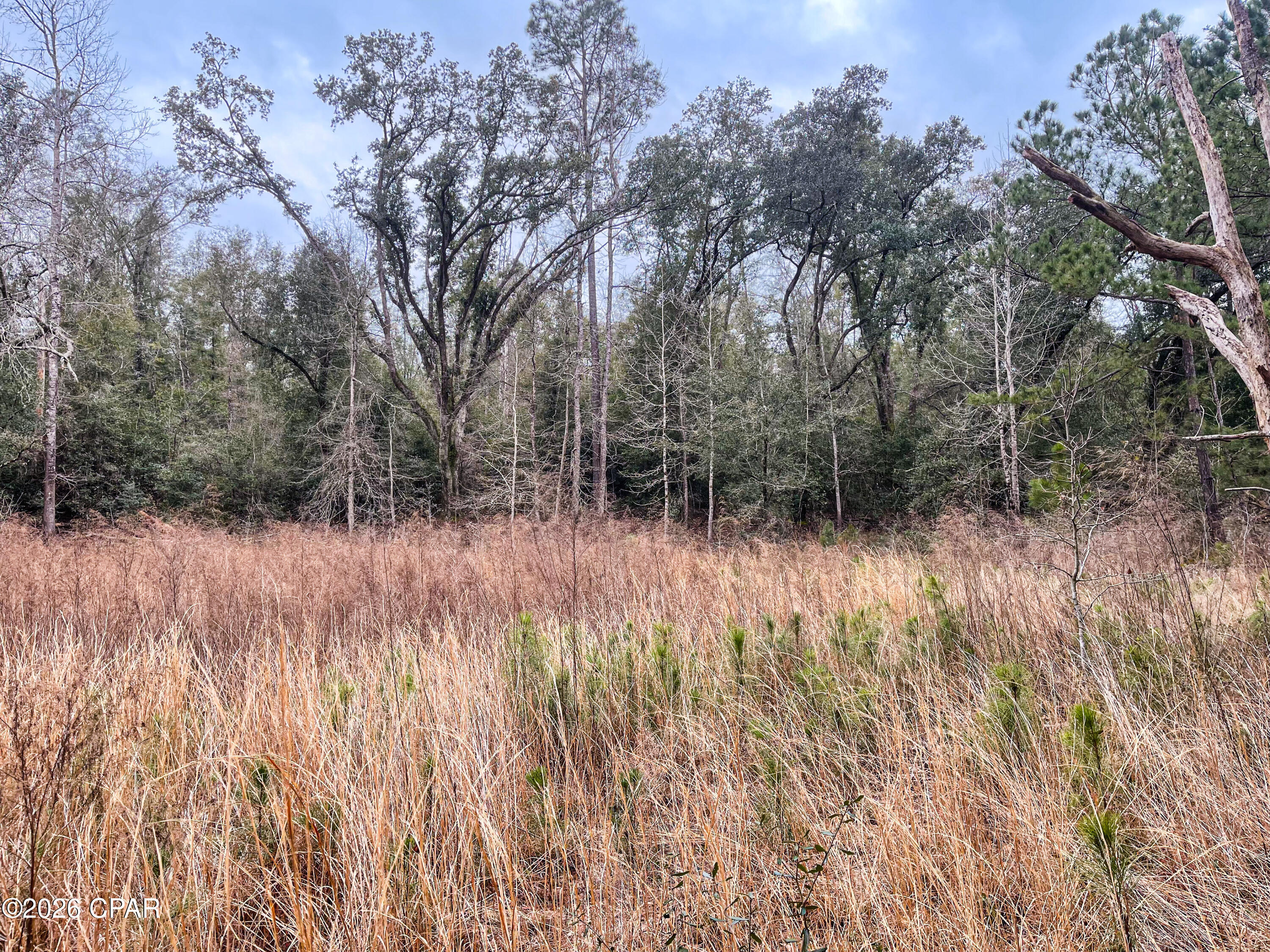 No Named Subdivision - Land