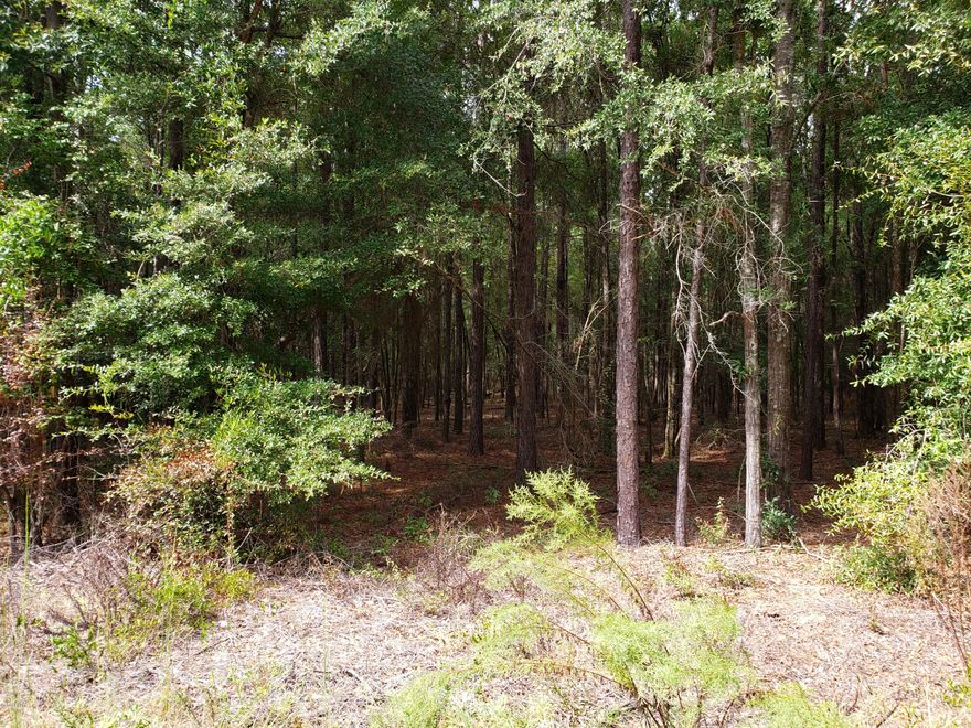 Lot 11-Nice wooded 1.19+/- acre with paved road frontage just outside Bascom city limits. Great for your new site built or mobile home.