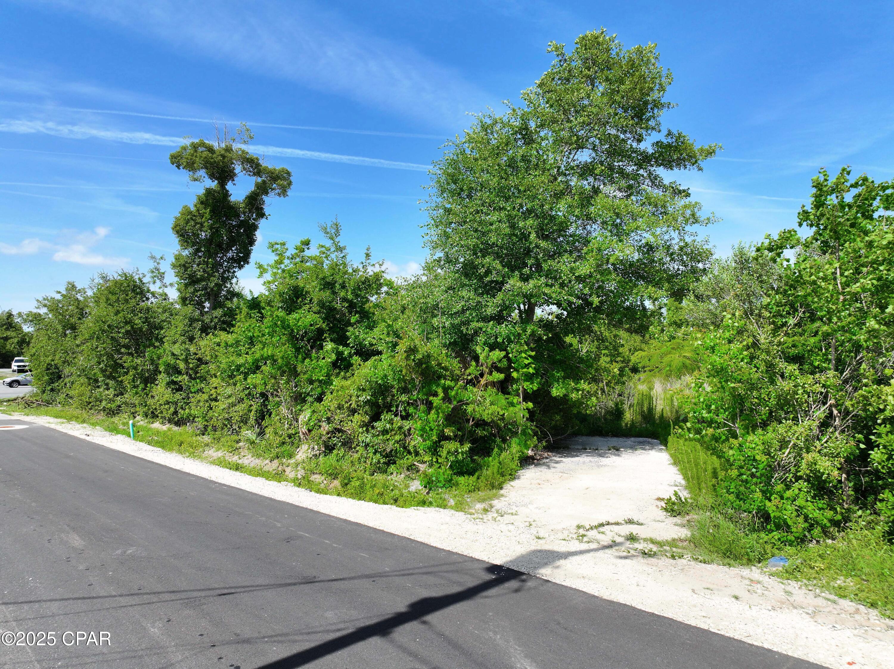 Springfield Farms - Land