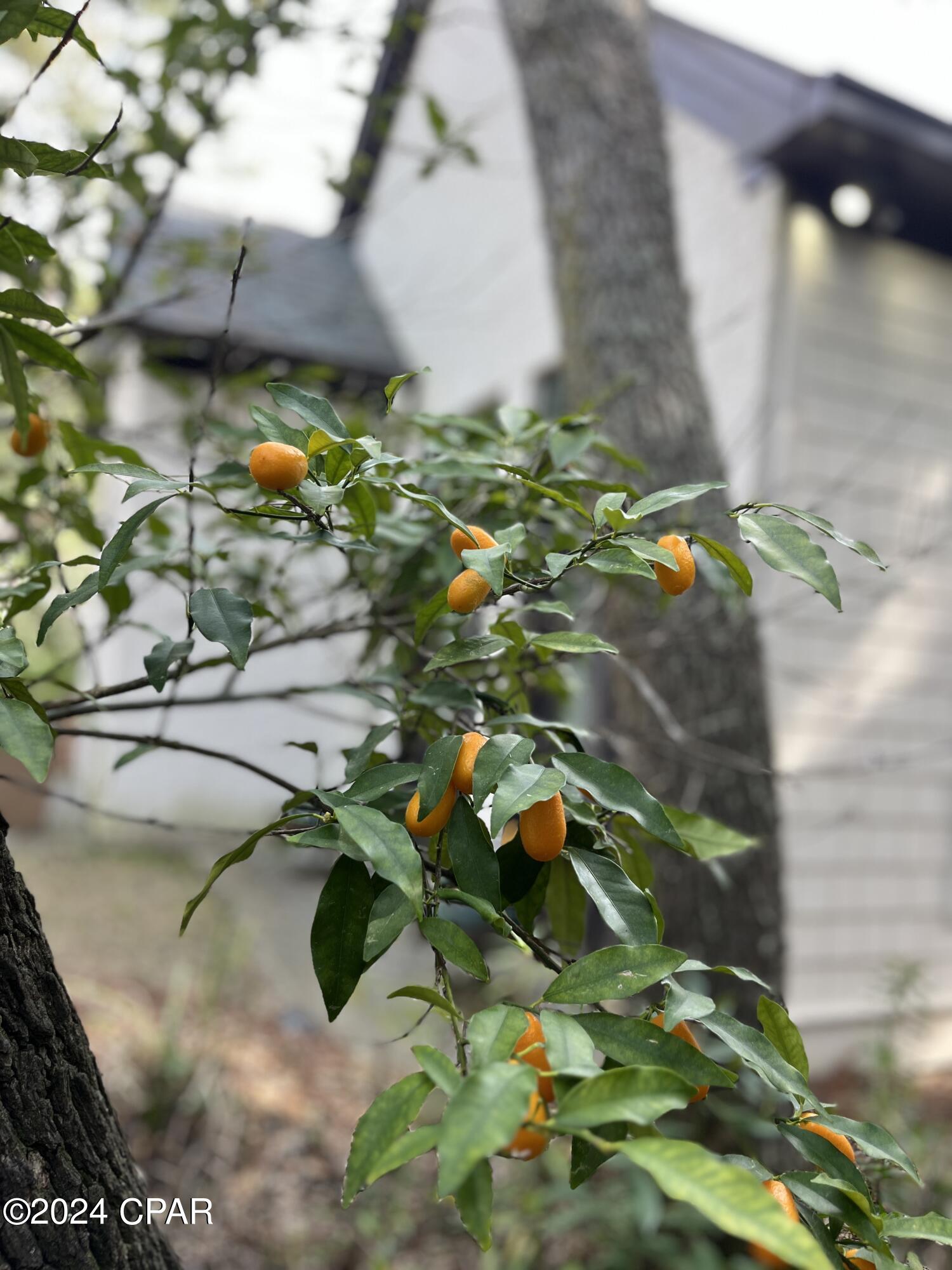 Eastern Lake - Residential