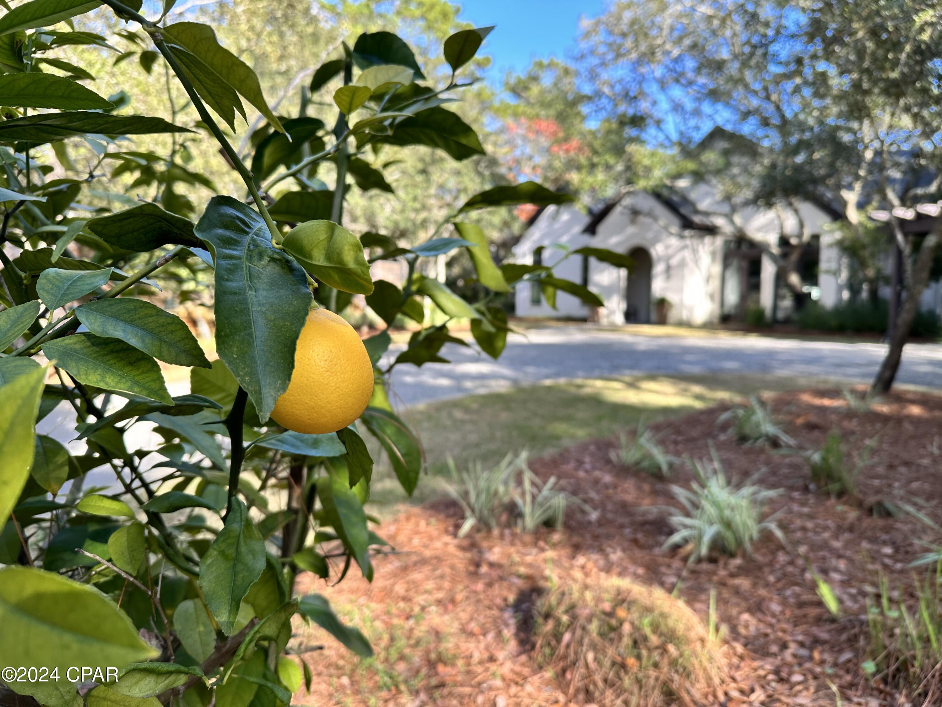 Eastern Lake - Residential
