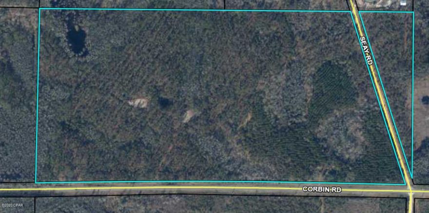 Excellent Location for this 75 mol acres approx 3 miles from I-10 with Highway frontage on Corbin Rd.  No deed restrictions. Good timber still available here.  Pond, seller will consider dividing. Most high and dry.