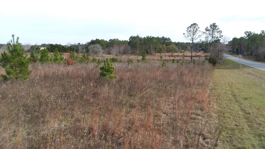 A super deal on unrestricted acreage on a paved Hwy 177A only 4 miles from Bonifay city limits. This beautiful 32-acres is scattered with trees on the higher ground with appx 2400' total paved frontage. The South boundary starts at Linwood Circle and goes appx. 510' down that dirt road. The middle acreage along Hwy 177A has the highest land with it sloping down towards the back and towards Linwood Circle where it is in Flood Zone A (see FEMA Flood Map under Documents tab). Buyer will need a survey to determine the exact corners along with a water well and septic tank.  Location is convenient to Dothan & Geneva, AL with easy access to Interstate 10, Bay Co. Int'l Airport and Panama City Beach, FL.  Warm temps & low property taxes. Submit your Offer today as seller is very motivated!!