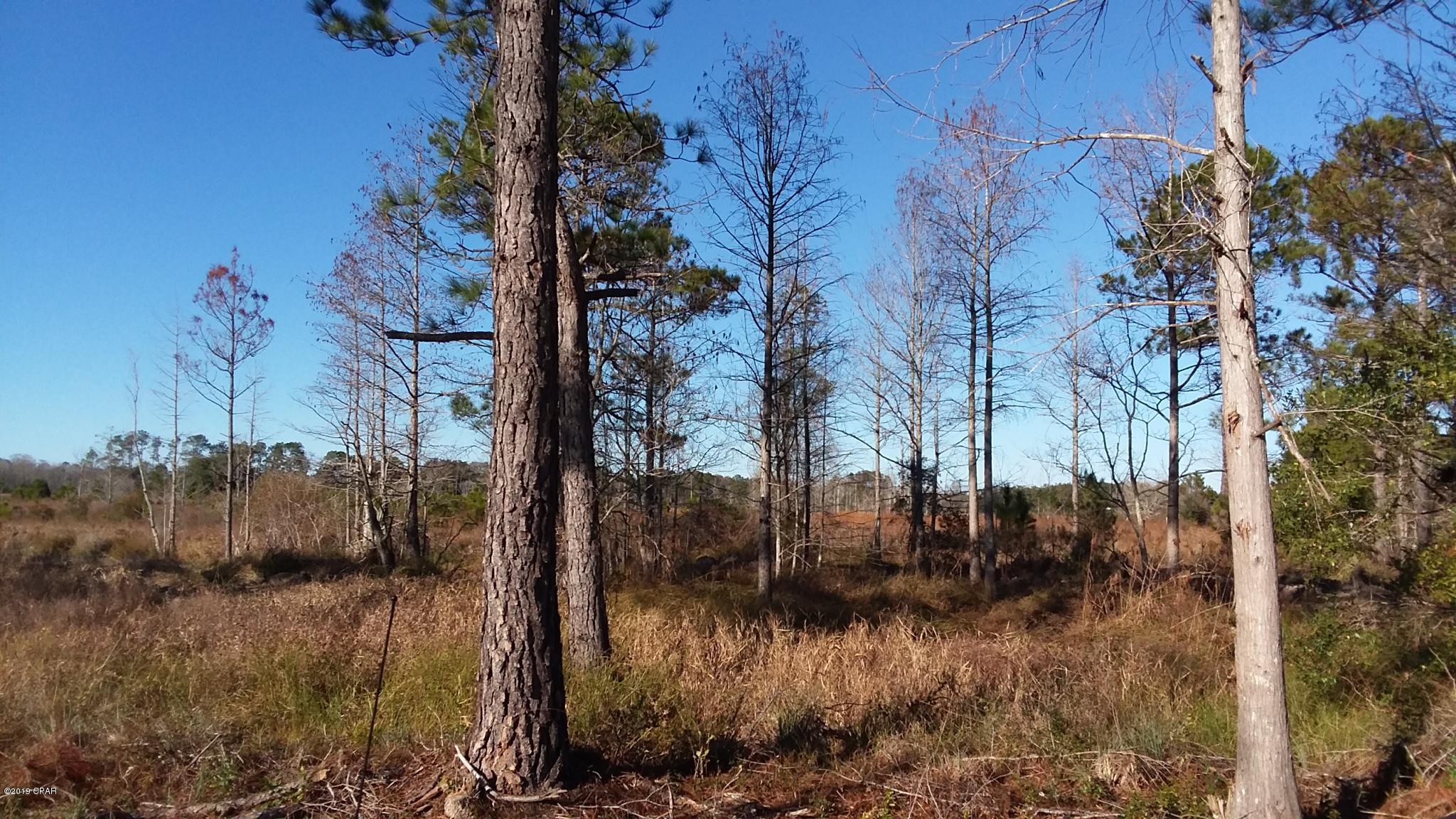 No Named Subdivision - Land