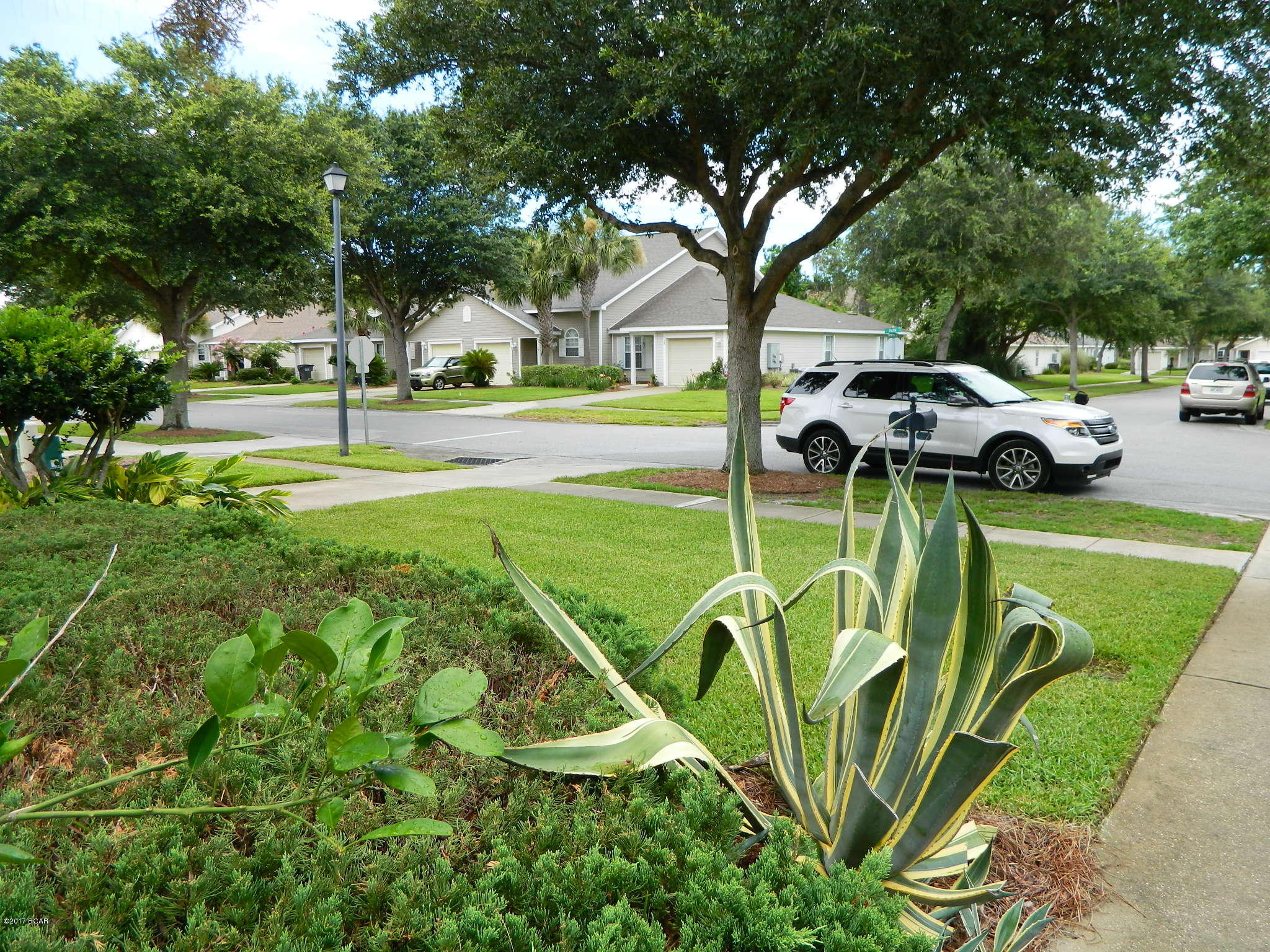 Palmetto Trace - Residential