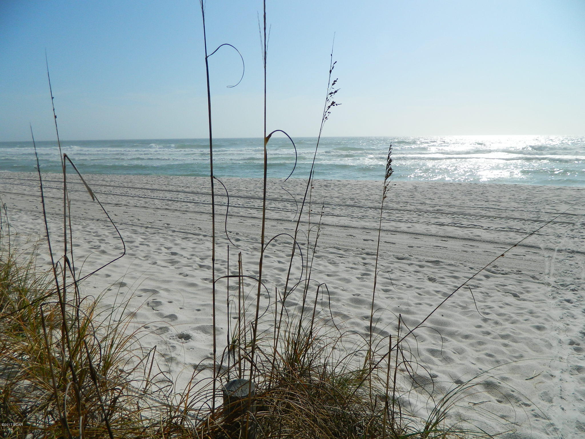 Palmetto Trace - Residential